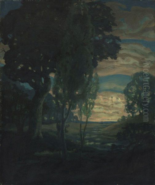 Abendliche Moorlandschaft - view 1