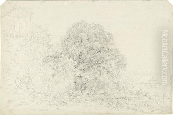 Fluslandschaft Bei Schloss Harlaching - view 1