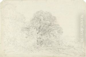 Fluslandschaft Bei Schloss Harlaching by Cantius Dillis