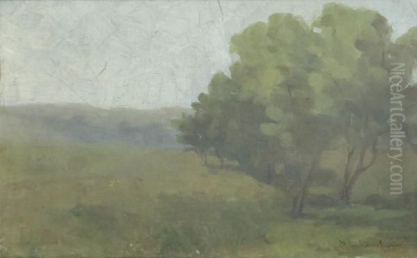 Peisaj - view 1