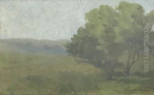 Peisaj