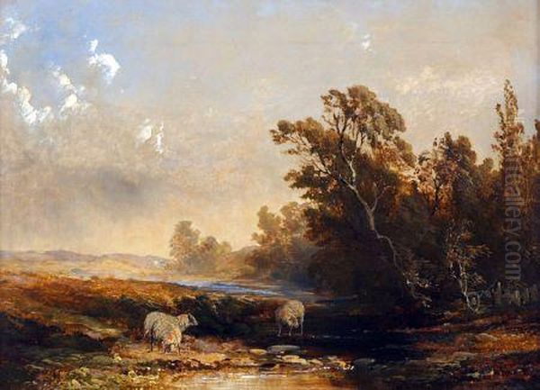 River Landscape With Sheep - view 1