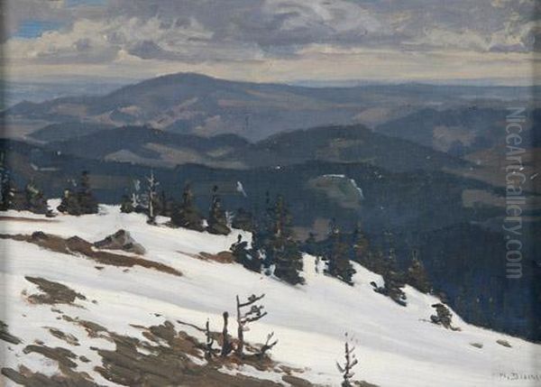 Spatwinter Im Schwarzwald - view 1