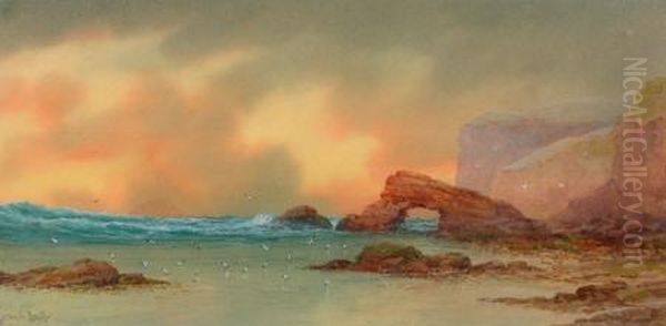 sunlit Coastline - view 1