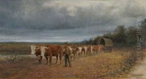 Bullock Team (12 Bullocks) Bullock Team (12 Bullocks)