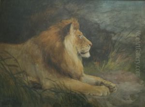 The King Of The Jungle Signed, Watercolour 37 X 50.5cm