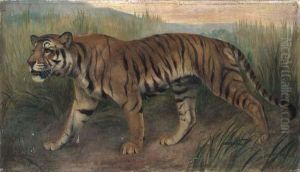 Tiger by Harry Dixon
