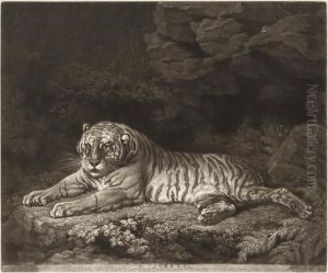 A Tigress by John Dixon