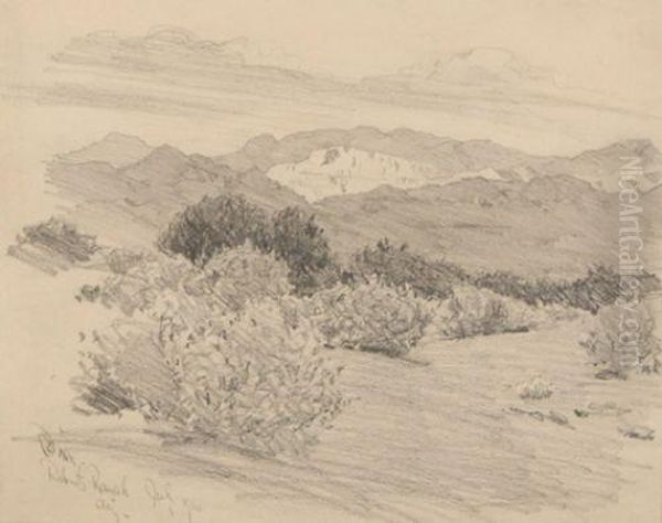 Desert Dances, Robert's Ranch, Arizona - view 1