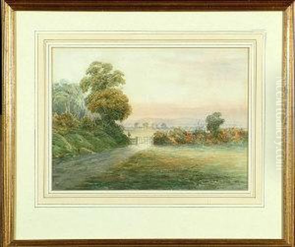 A Countryman On A Rural Road Approaching A Five-barred Gate - view 1