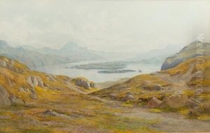 Loch Maree From Above Curree Bay