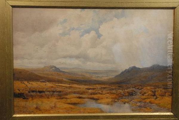 Haymaking, Extensive Moorland Landscape - view 1