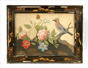 A Jay, Roses Andbutterfly by Samuel Dixon