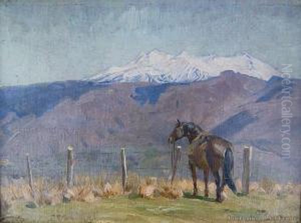 Horse In A Landscape 'the Fence' - view 1