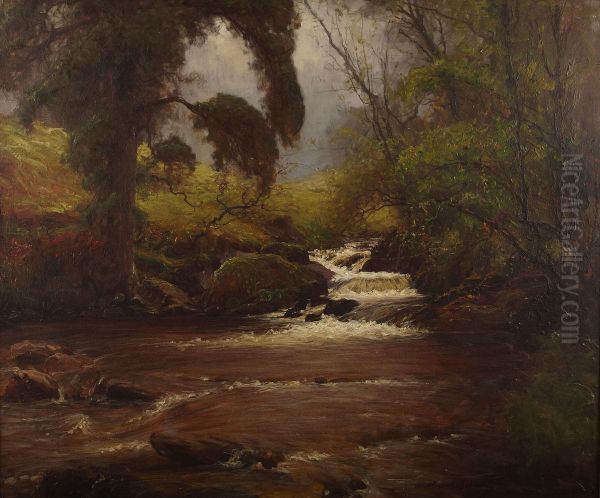 A Wooded Highland Stream - view 1