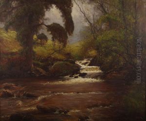 A Wooded Highland Stream by Alexander Brownlie Docharty