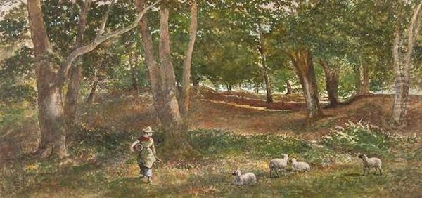 Glade In Knole Park - view 1