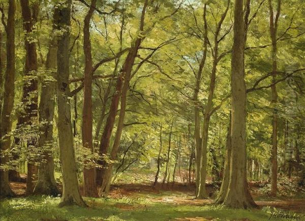 View Of A Forest - view 1