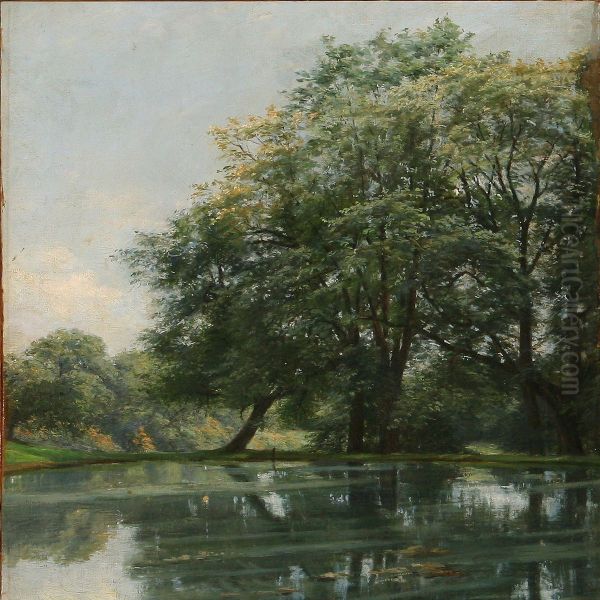 Spring Day In A Forest - view 1