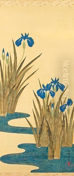 Irisesbeside A Stylized Curving Stream - view 1