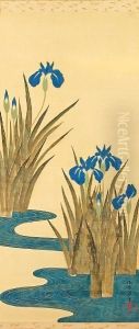 Irisesbeside A Stylized Curving Stream
