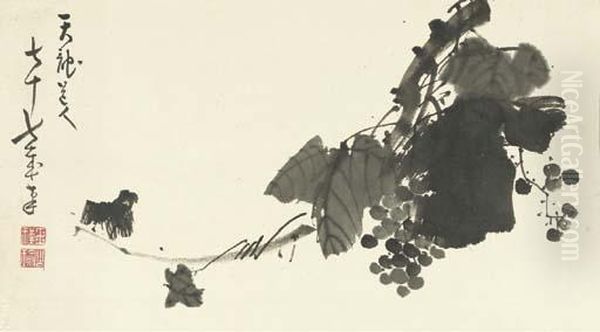 Grapes On Vine - view 1