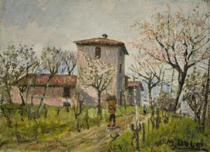 Cascinale Sui Ronchi E Contadino