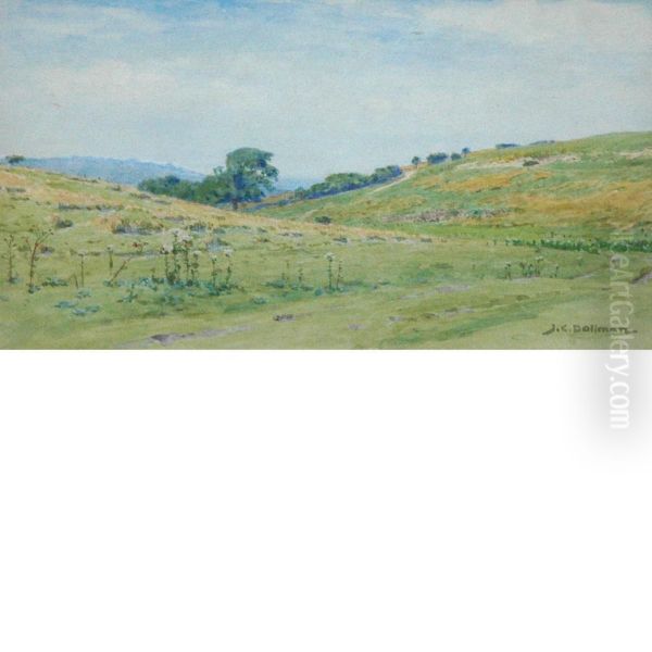 Field Landscape - view 1