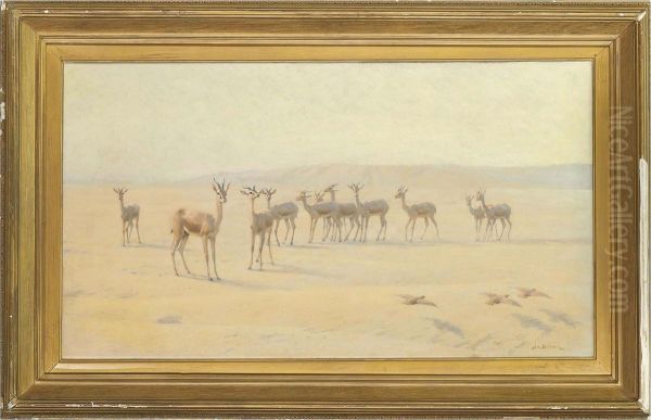 In The Desert - view 1