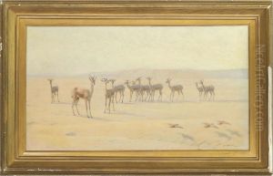 In The Desert