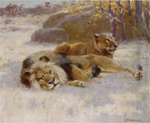 Lions Resting by John Charles Dollman