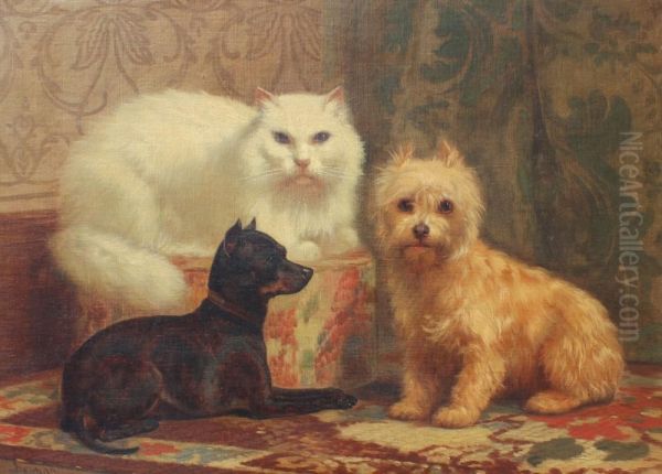 Animal Portrait - view 1