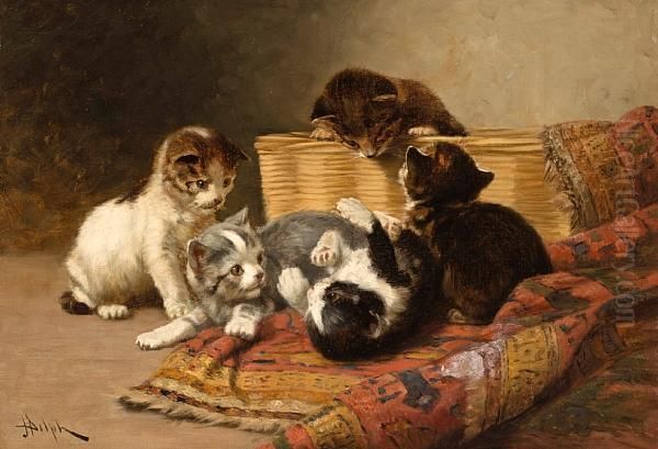 Playing Kittens - view 1
