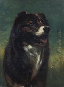 A Study Of A Dog A Study Of A Dog