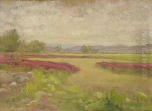 Paisaje
