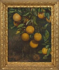 Still Life With Lemons