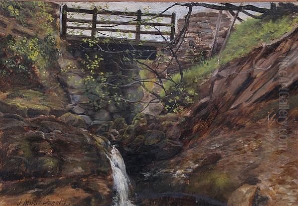 Bridge Over A Mountain Stream - view 1