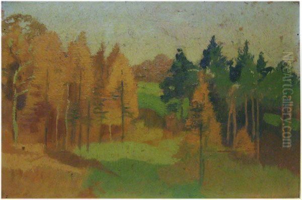 Paysage - view 1