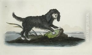 Six Dogs In Landscapes by Edward Donovan