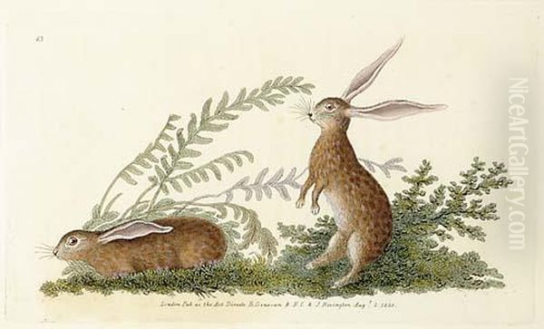 Five Works Hares - view 1