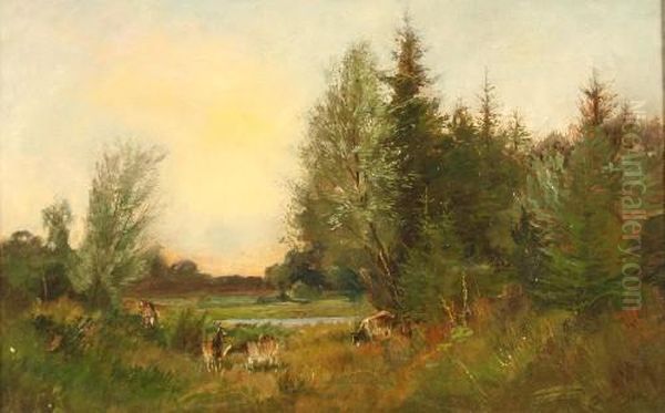 Bewaldeteauenlandschaft Mit Ziegen - view 1
