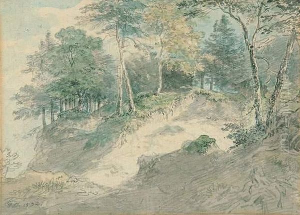 Waldlandschaft. - view 1