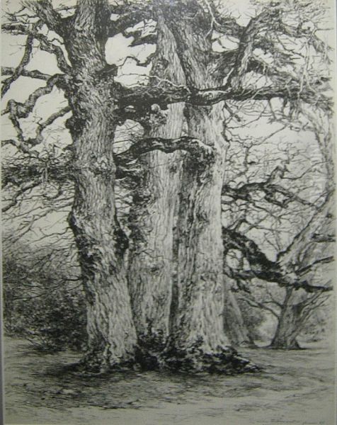 Bomen. - view 1