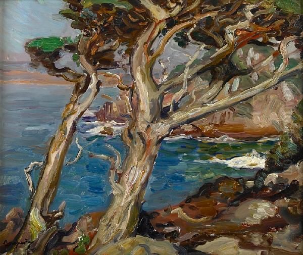 Point Lobos - view 1