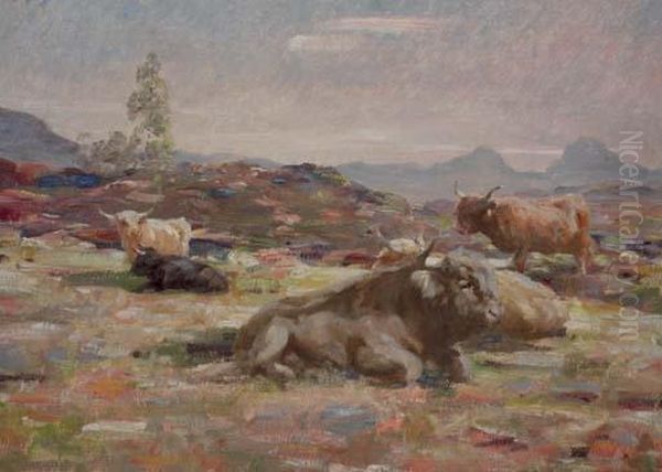 Highland Cattle On The Moor - view 1