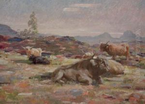 Highland Cattle On The Moor by Andrew Douglas