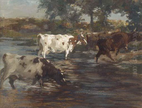 Cattle Fording A River - view 1