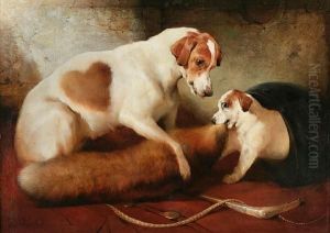 Learning The Scent by Edwin Douglas