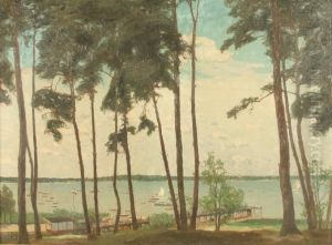 Blick Auf Den Wannsee
