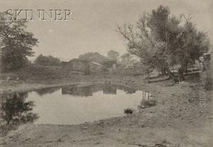 Pond In Ipswich.